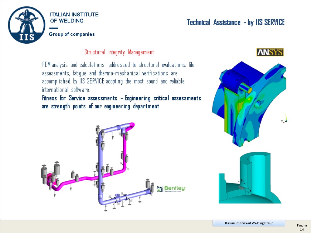 Technical Assistance - by IIS SERVICE FEM analysis and calculations addressed to structural evaluations,